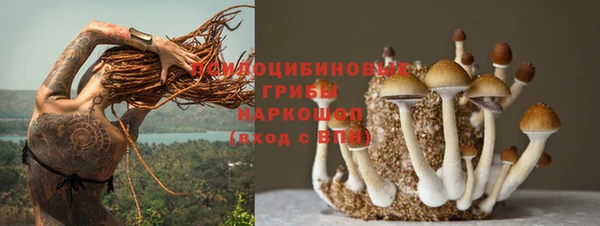прущие грибы Майский