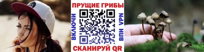 Галлюциногенные грибы прущие грибы  Талица 